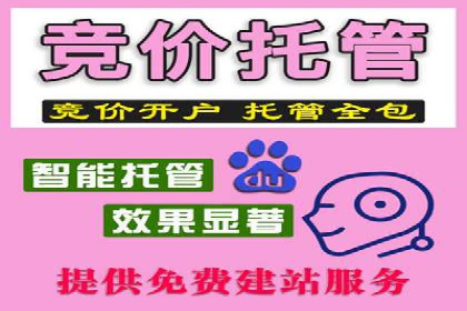 实战经验：竞价推广公司成功案例解析